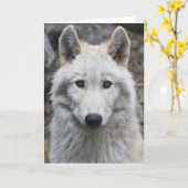 WITTE WOLF FOTOGRAFIE BIRTHDAY KAART (Gele Bloem)