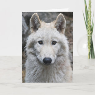 WITTE WOLF FOTOGRAFIE BIRTHDAY KAART