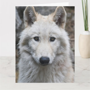 WITTE WOLF FOTOGRAFIE VERJAARDAGSKAART KAART