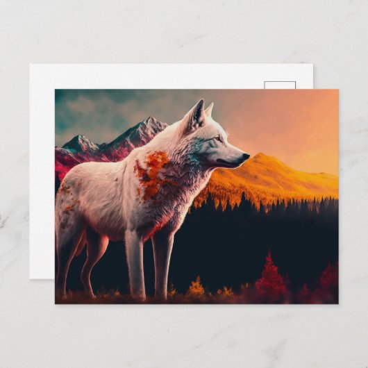 Witte Wolf in de Berg op zonsopgang Briefkaart (Voorkant / Achterkant)