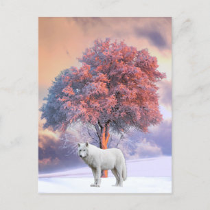 Witte Wolf in de winter   BRIEFKAART
