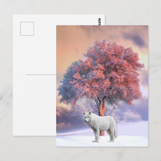 Witte Wolf in de winter | BRIEFKAART (Voorkant / Achterkant)