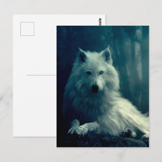 Witte wolf in het nachtbos briefkaart (Voorkant / Achterkant)