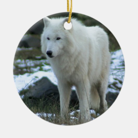 Witte wolf in Winter Keramisch Ornament (Voorkant)
