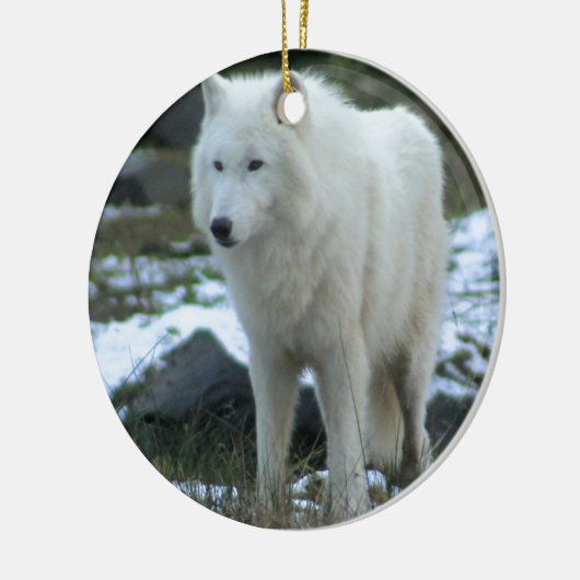 Witte wolf in Winter Keramisch Ornament (Links)