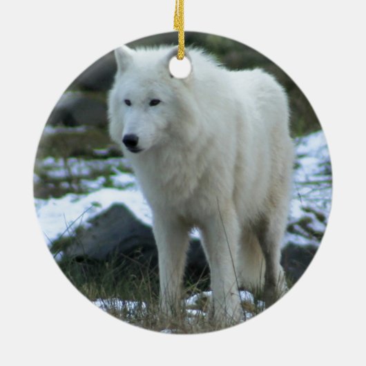 Witte wolf in Winter Keramisch Ornament (Achterkant)