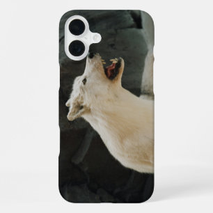 Witte Wolf iPhone 16 Plus Hoesje
