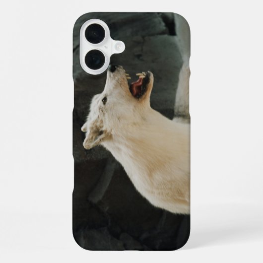 Witte Wolf iPhone Hoesje (Achterkant)