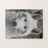 WITTE WOLF JIGSAW PUZZLE UITDAGING LEGPUZZEL (Horizontaal)