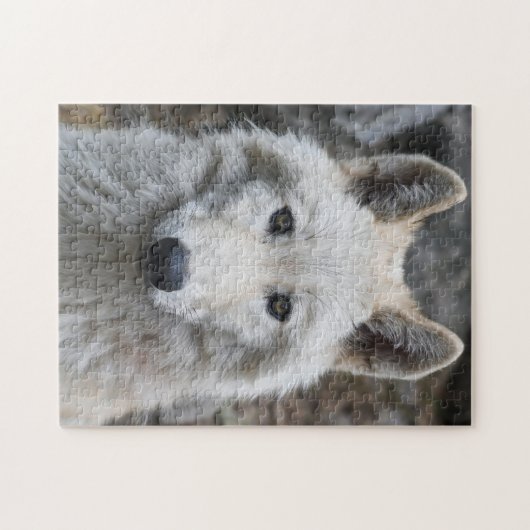 WITTE WOLF JIGSAW PUZZLE UITDAGING LEGPUZZEL (Horizontaal)