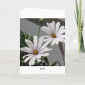 Witte Wolf Kaart (Achterkant)