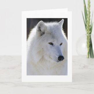 Witte Wolf Kaart
