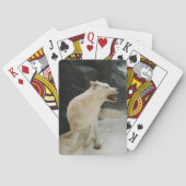 Witte wolf pokerkaarten (Achterkant)