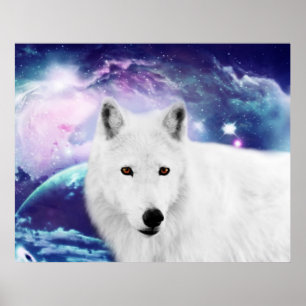 Witte wolf poster
