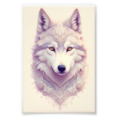 Witte Wolf - Poster (Voorkant)