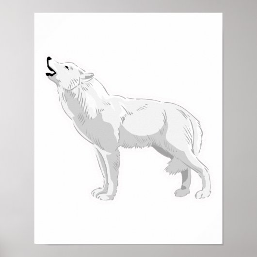 witte wolf poster (Voorkant)