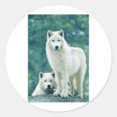 WITTE WOLF RONDE STICKER (Voorkant)