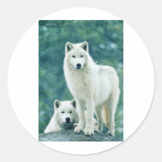 WITTE WOLF RONDE STICKER