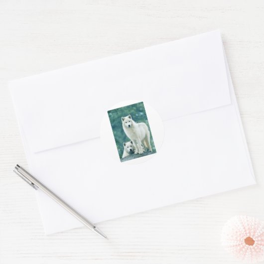 WITTE WOLF RONDE STICKER (Envelop)