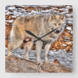Witte Wolf, sneeuw en stamhout Vierkante Klok