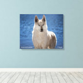 Witte Wolf verpakt Canvas Afdruk (Insitu (Houten vloer))