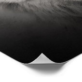 Witte Wolf Zwarte Witte Fotoposter Poster (Hoek)