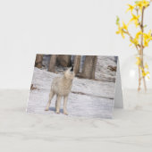 Witte wolfslang leeg kaart (Gele Bloem)