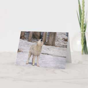 Witte wolfslang leeg kaart