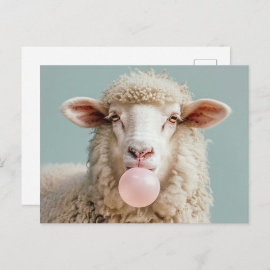 Witte wollige schapen blazen roze bubble kauwgom b briefkaart (Voorkant / Achterkant)