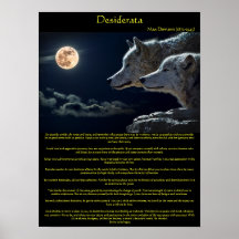 Witte wolven van Desiderata op een poster aan de b