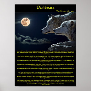 Witte wolven van Desiderata op een poster aan de b