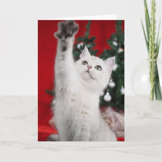 Witte XMAS Cat Feestdagen Kaart (Voorkant)