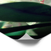 witte zaleasbloem met regendruppels poster (Hoek)