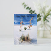 Witte zand briefkaart (Staand voorkant)