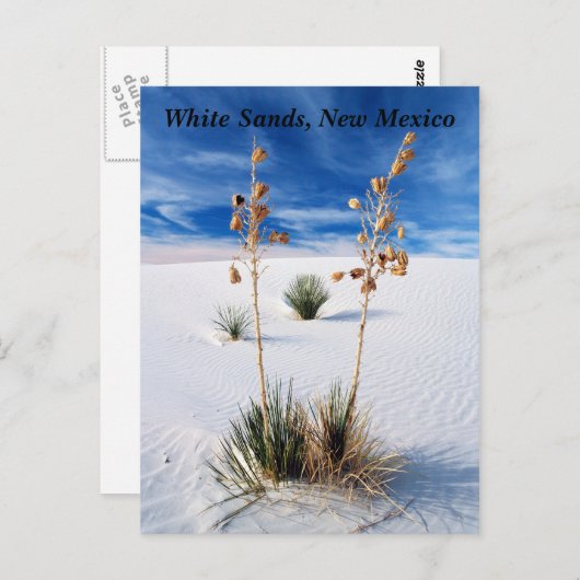 Witte zand briefkaart (Voorkant / Achterkant)