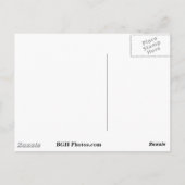 Witte zand briefkaart (Achterkant)