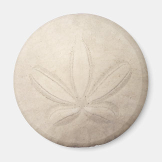 Witte Zand Dollar Magneet