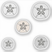 Witte zanddollars sticker (Voorkant)