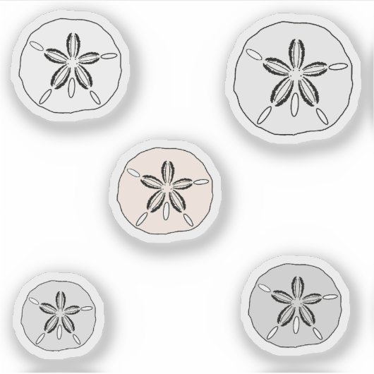 Witte zanddollars sticker (Voorkant)