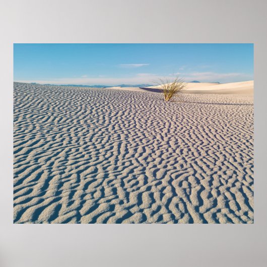 Witte Zandpatronen Poster (Voorkant)