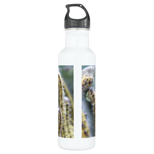 Witte zandpijlers van Hongaarse kool Waterfles (Achterkant)