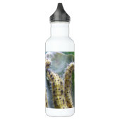 Witte zandpijlers van Hongaarse kool Waterfles (Links)