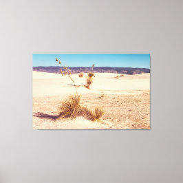 Witte zandyucca's canvas afdruk