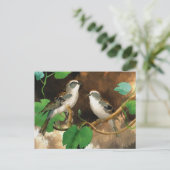 Witte zangvogels briefkaart (Staand voorkant)
