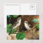 Witte zangvogels briefkaart (Voorkant / Achterkant)