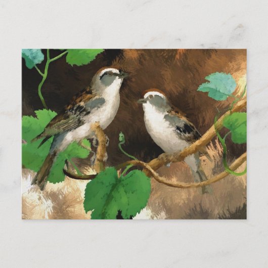Witte zangvogels briefkaart (Voorkant)