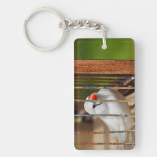Witte Zebra Vliegtuig in kooi Sleutelhanger