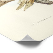 Witte Zee Eagle van Elizabeth Gould Poster (Hoek)