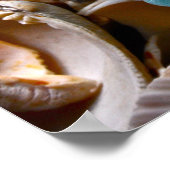 Witte Zee Glazen Bloem Poster (Hoek)