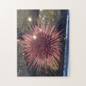 Witte Zee Urchin 252-stukpuzzel Legpuzzel (Verticaal)